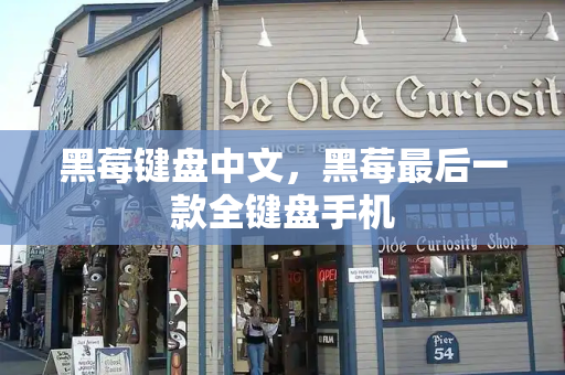 黑莓键盘中文，黑莓最后一款全键盘手机-第1张图片-星选测评