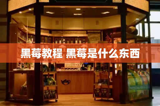 黑莓教程 黑莓是什么东西-第1张图片-星选测评