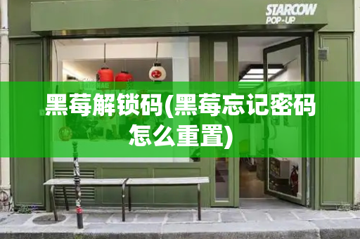 黑莓解锁码(黑莓忘记密码怎么重置)