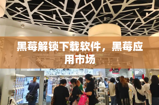 黑莓解锁下载软件，黑莓应用市场