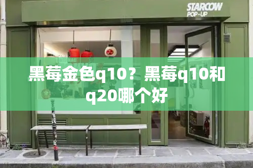黑莓金色q10？黑莓q10和q20哪个好-第1张图片-星选测评