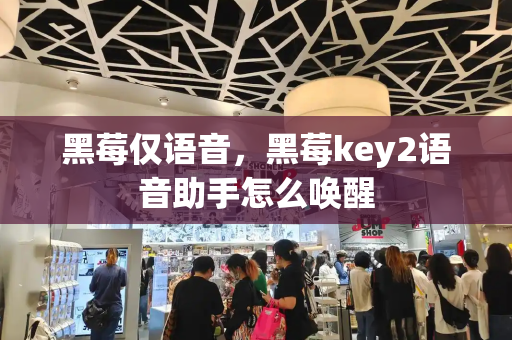 黑莓仅语音，黑莓key2语音助手怎么唤醒