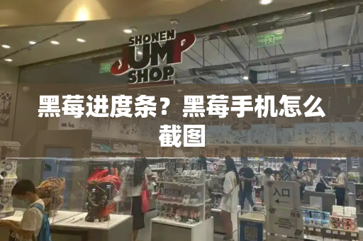 黑莓进度条？黑莓手机怎么截图-第1张图片-星选测评
