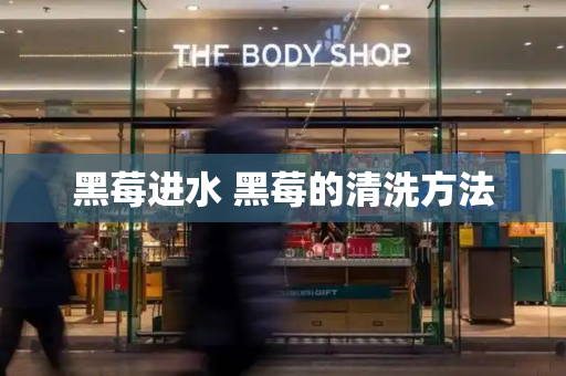 黑莓进水 黑莓的清洗方法
