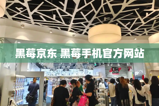 黑莓京东 黑莓手机官方网站