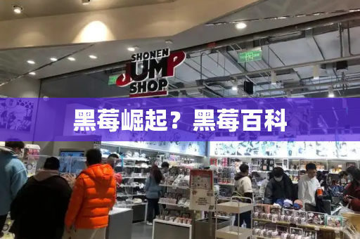 黑莓崛起？黑莓百科