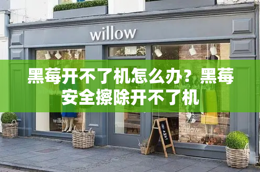 黑莓开不了机怎么办？黑莓安全擦除开不了机