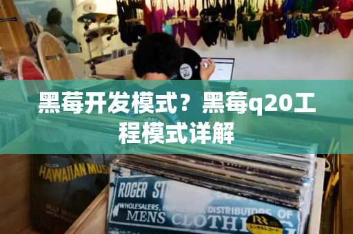 黑莓开发模式？黑莓q20工程模式详解-第1张图片-星选测评