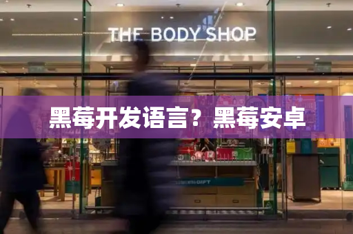黑莓开发语言？黑莓安卓-第1张图片-星选测评