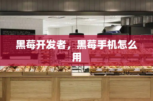黑莓开发者，黑莓手机怎么用-第1张图片-星选测评