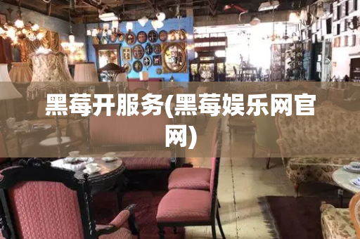 黑莓开服务(黑莓娱乐网官网)