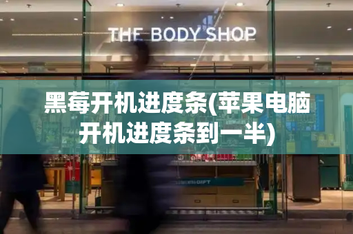 黑莓开机进度条(苹果电脑开机进度条到一半)