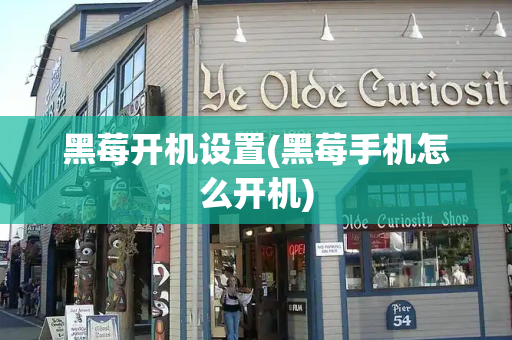 黑莓开机设置(黑莓手机怎么开机)