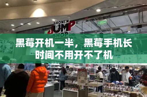 黑莓开机一半，黑莓手机长时间不用开不了机