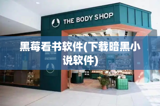 黑莓看书软件(下载暗黑小说软件)