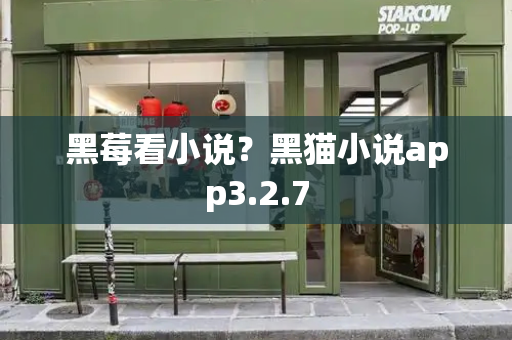黑莓看小说？黑猫小说app3.2.7