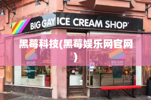 黑莓科技(黑莓娱乐网官网)