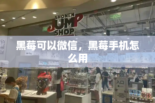 黑莓可以微信，黑莓手机怎么用-第1张图片-星选测评