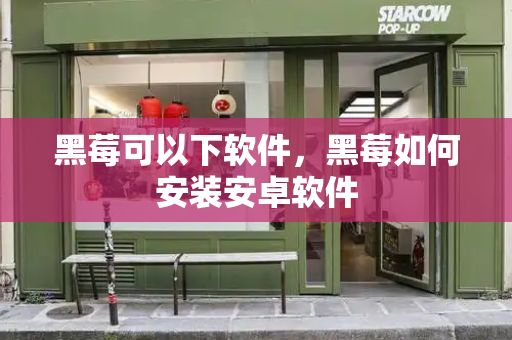 黑莓可以下软件，黑莓如何安装安卓软件