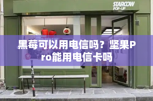 黑莓可以用电信吗？坚果Pro能用电信卡吗