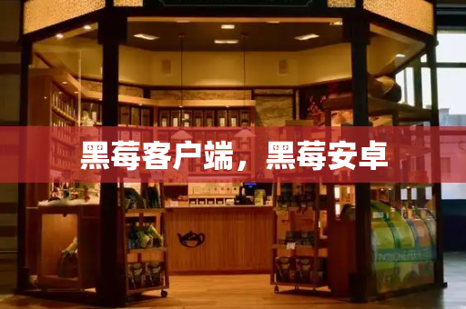 黑莓客户端，黑莓安卓-第1张图片-星选测评
