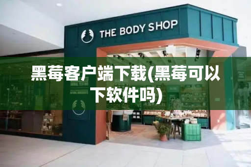 黑莓客户端下载(黑莓可以下软件吗)