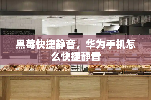黑莓快捷静音，华为手机怎么快捷静音-第1张图片-星选测评