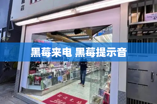 黑莓来电 黑莓提示音