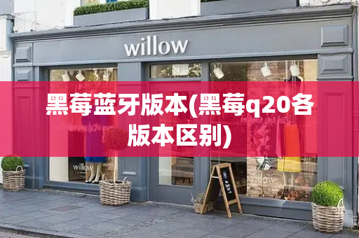 黑莓蓝牙版本(黑莓q20各版本区别)-第1张图片-星选测评
