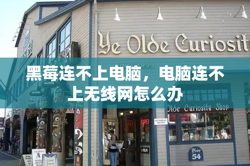 黑莓连不上电脑，电脑连不上无线网怎么办