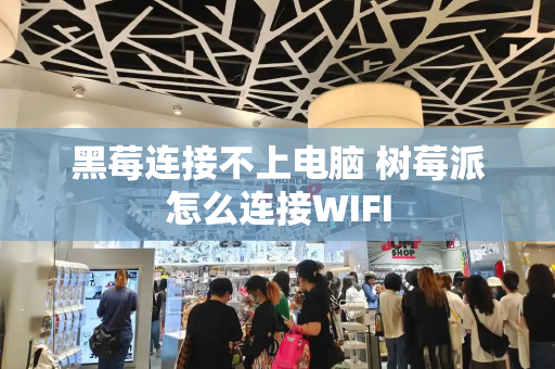 黑莓连接不上电脑 树莓派怎么连接WIFI-第1张图片-星选测评
