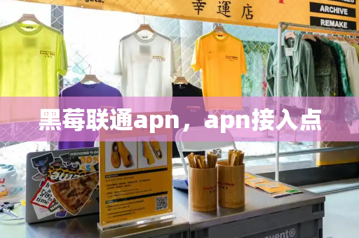 黑莓联通apn，apn接入点-第1张图片-星选测评