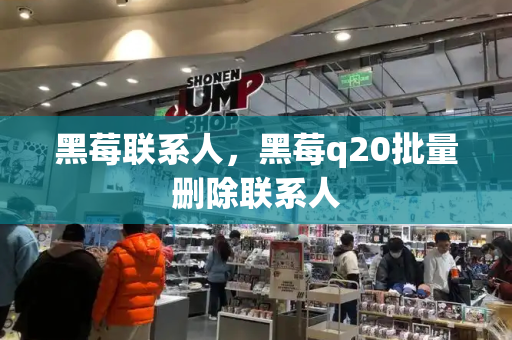 黑莓联系人，黑莓q20批量删除联系人-第1张图片-星选测评