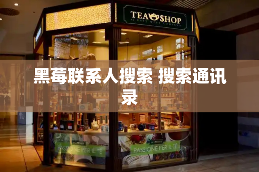 黑莓联系人搜索 搜索通讯录