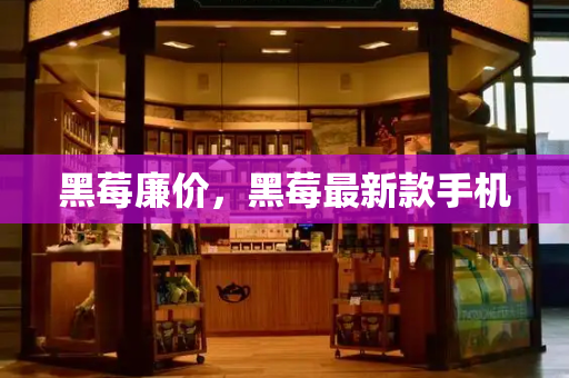 黑莓廉价，黑莓最新款手机