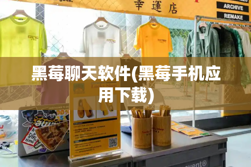 黑莓聊天软件(黑莓手机应用下载)-第1张图片-星选测评