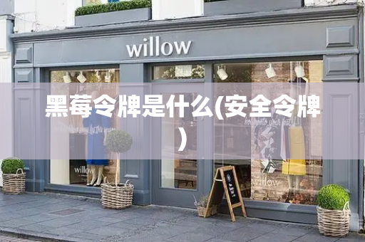 黑莓令牌是什么(安全令牌)