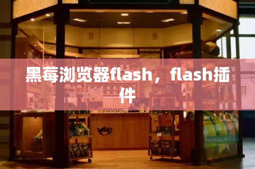 黑莓浏览器flash，flash插件
