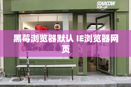 黑莓浏览器默认 IE浏览器网页