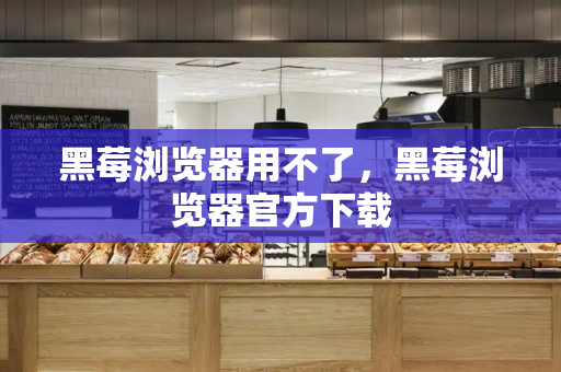 黑莓浏览器用不了，黑莓浏览器官方下载-第1张图片-星选测评
