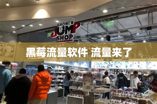黑莓流量软件 流量来了