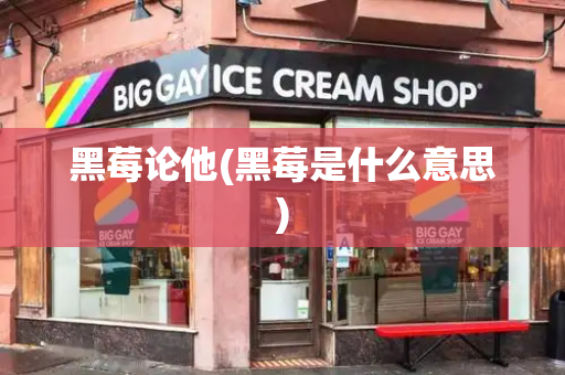 黑莓论他(黑莓是什么意思)