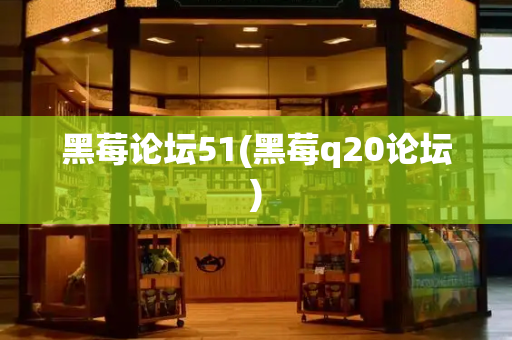 黑莓论坛51(黑莓q20论坛)