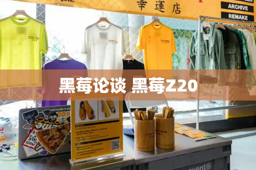 黑莓论谈 黑莓Z20