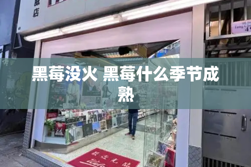 黑莓没火 黑莓什么季节成熟