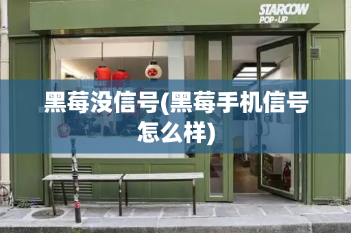 黑莓没信号(黑莓手机信号怎么样)