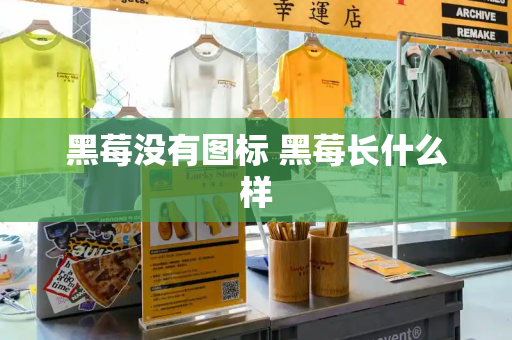 黑莓没有图标 黑莓长什么样