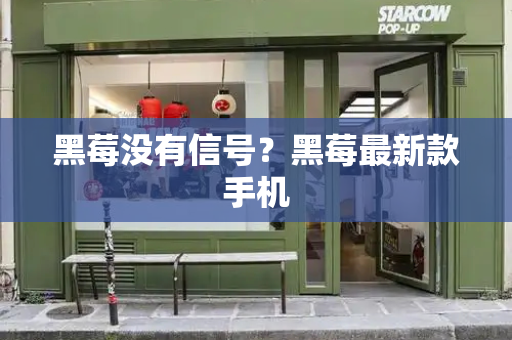 黑莓没有信号？黑莓最新款手机-第1张图片-星选测评
