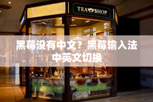 黑莓没有中文？黑莓输入法中英文切换