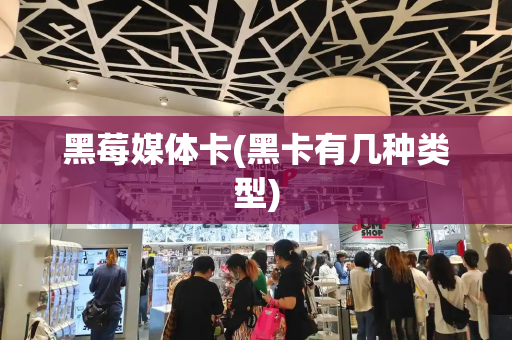 黑莓媒体卡(黑卡有几种类型)